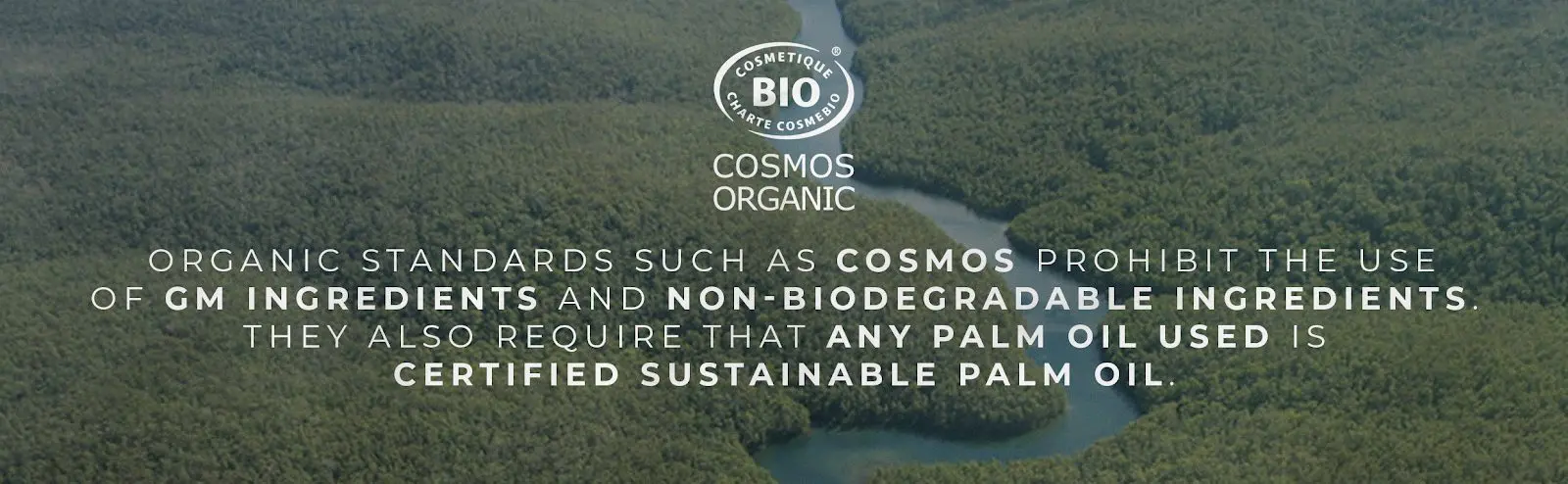 How to Create Sustainable Skincare Products Skincare Formulation 