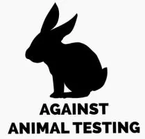 unofficial bunny2