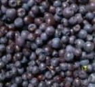 Organic Blueberries