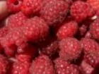 Organic Raspberries